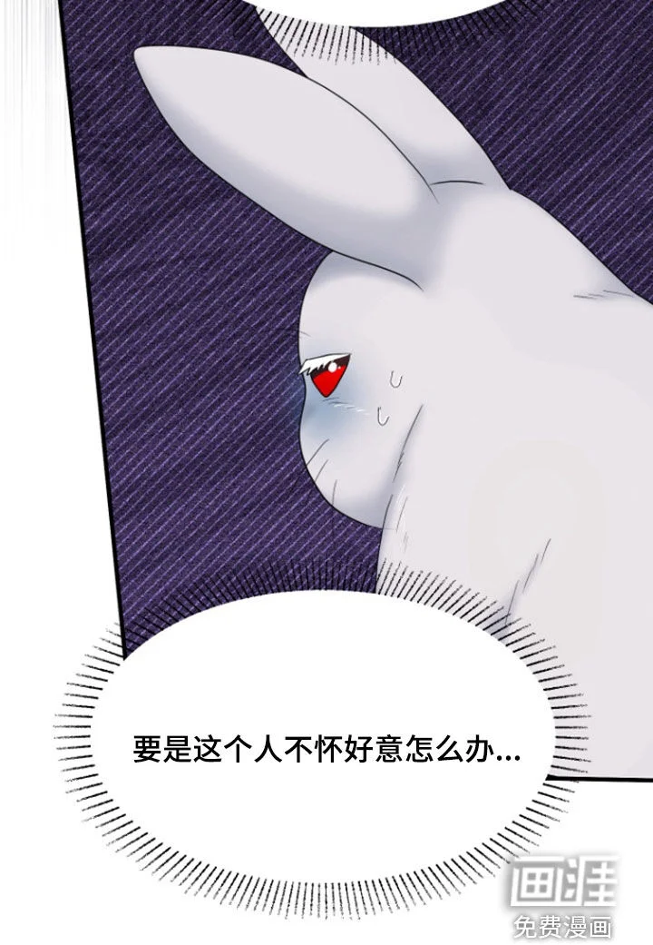 白兔为伴 第36章：1年前 第31页