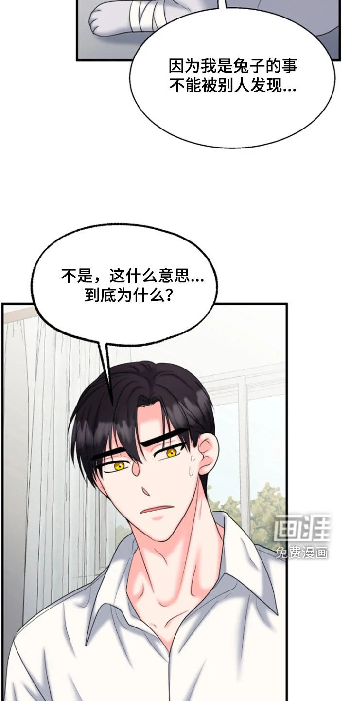 白兔为伴 第36章：1年前 第27页