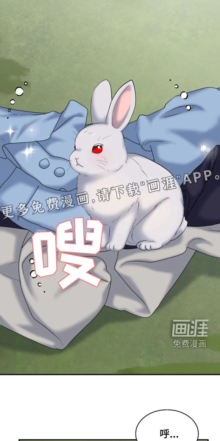 白兔为伴 第36章：1年前 第5页