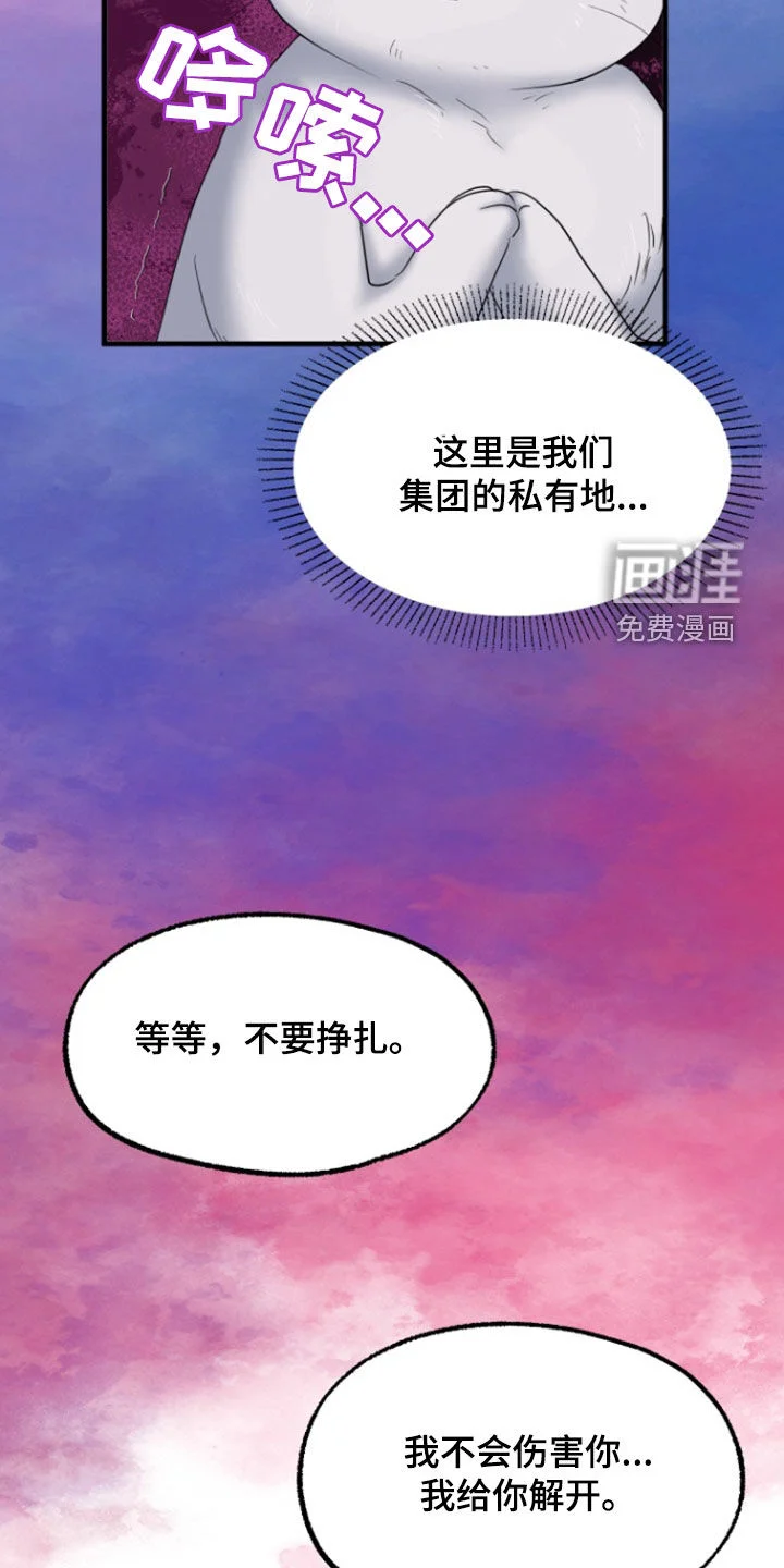 白兔为伴 第36章：1年前 第16页