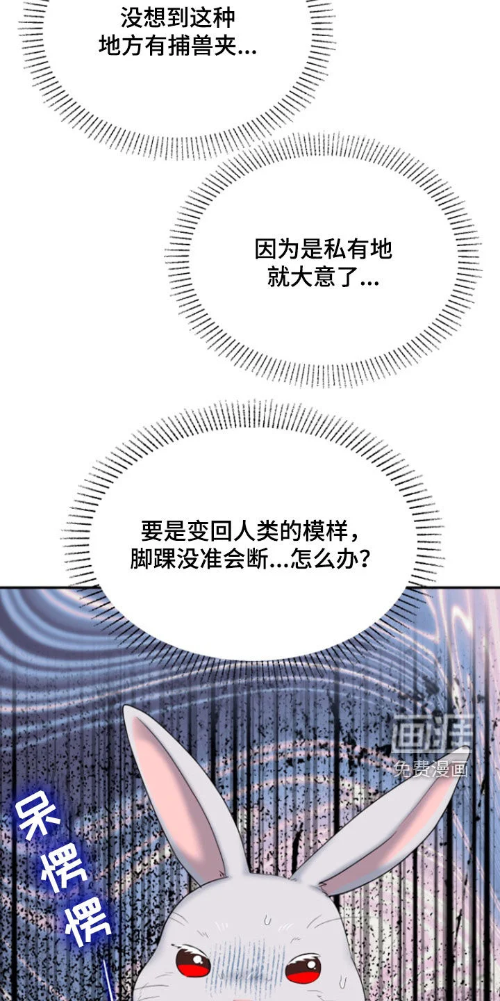 白兔为伴 第36章：1年前 第10页
