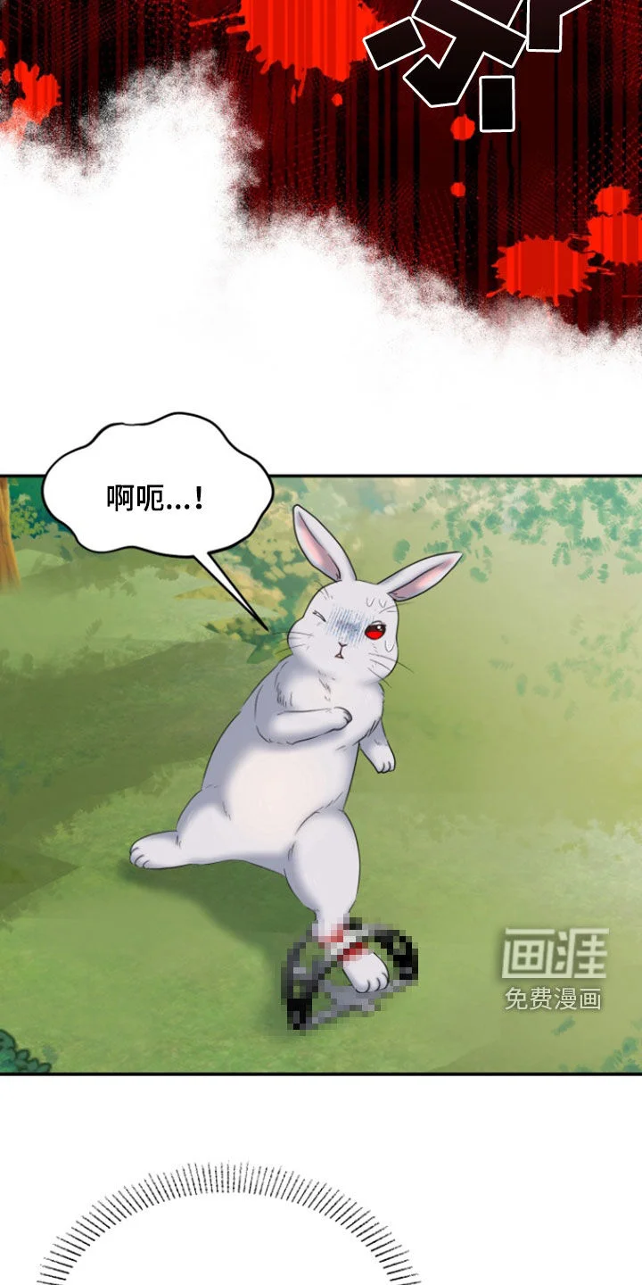 白兔为伴 第36章：1年前 第9页