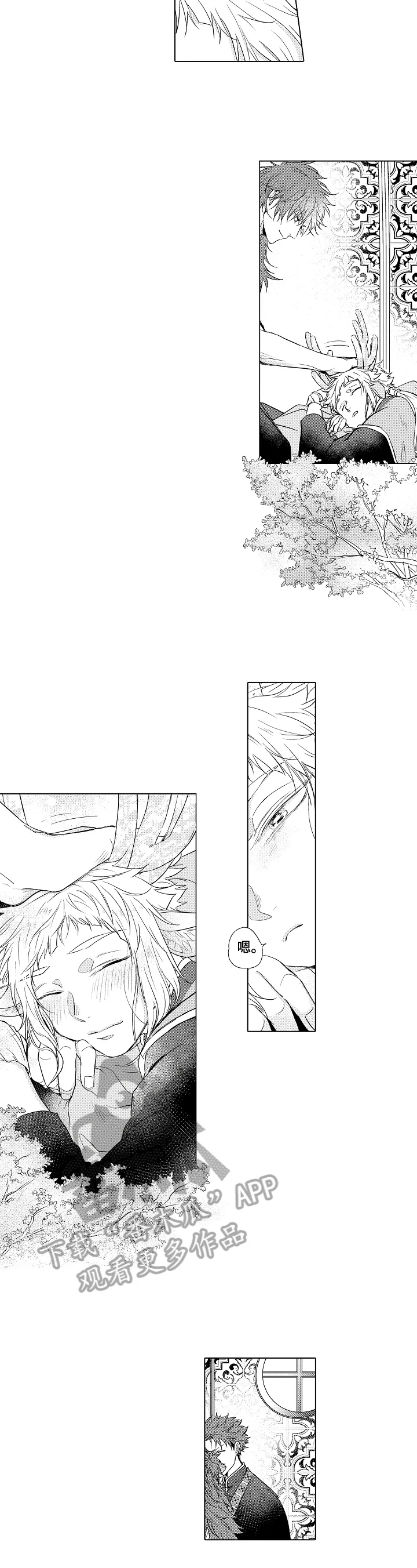 白色的野兽 第14章：观察 第4页