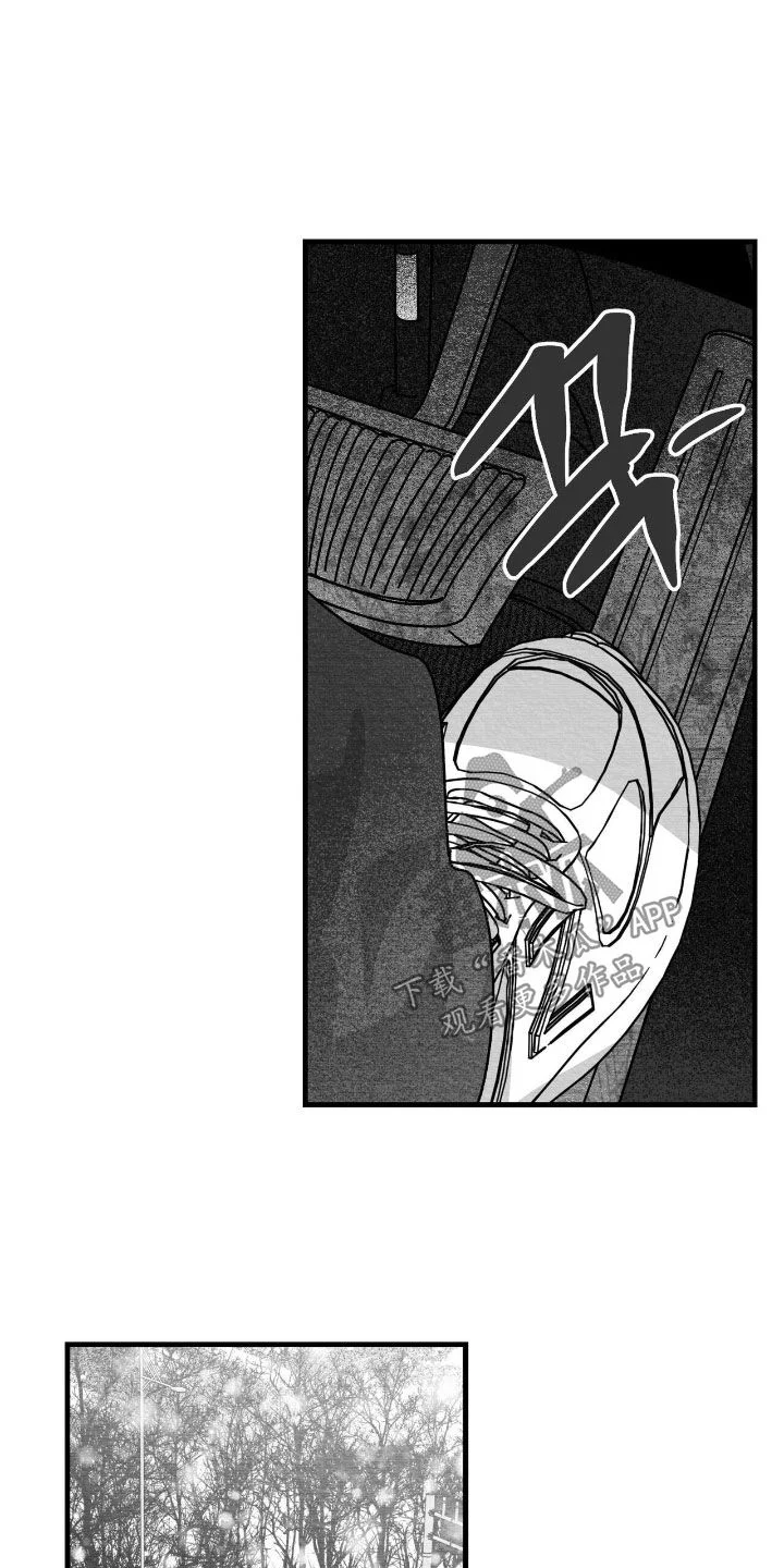 白鳞 第179章：要不要打个赌 第15页
