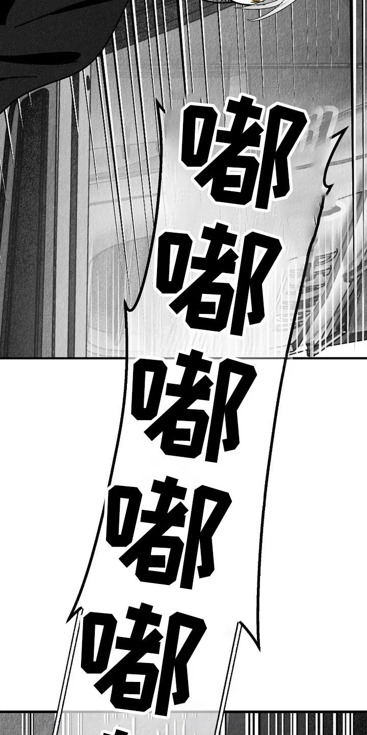 白鳞 第179章：要不要打个赌 第8页