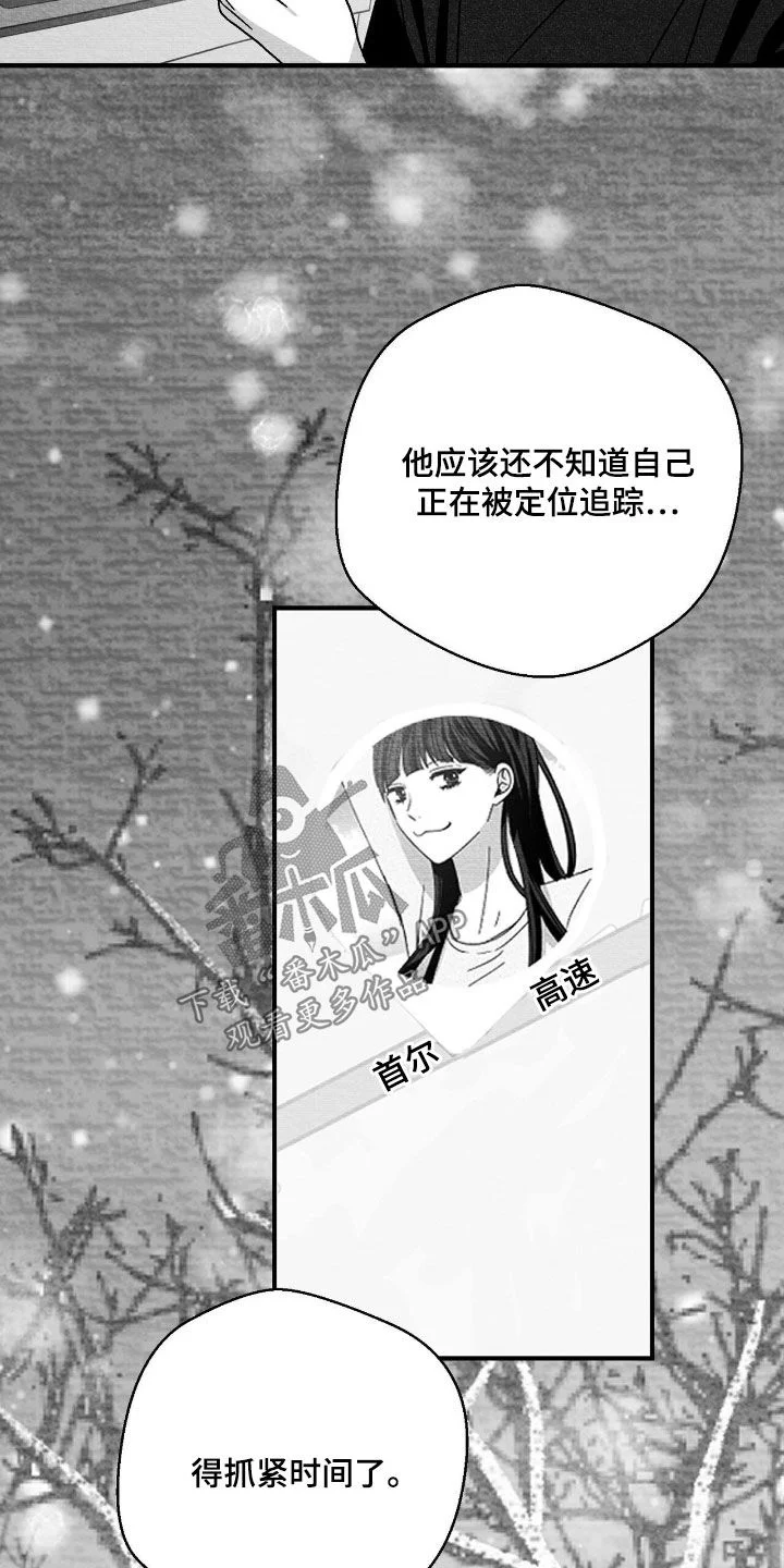 白鳞 第179章：要不要打个赌 第17页