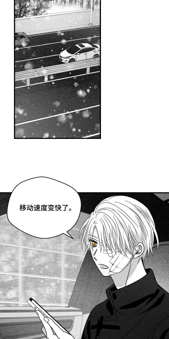 白鳞 第179章：要不要打个赌 第16页
