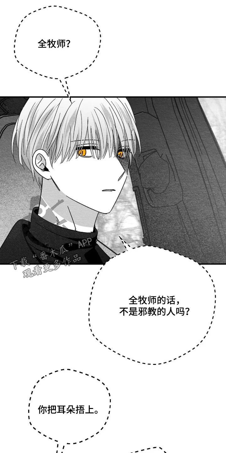 白鳞 第179章：要不要打个赌 第3页
