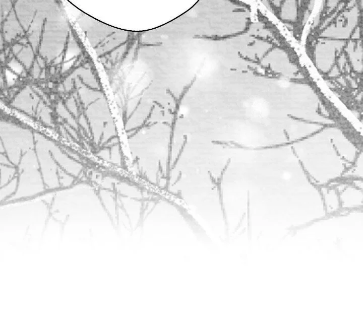 白鳞 第179章：要不要打个赌 第18页