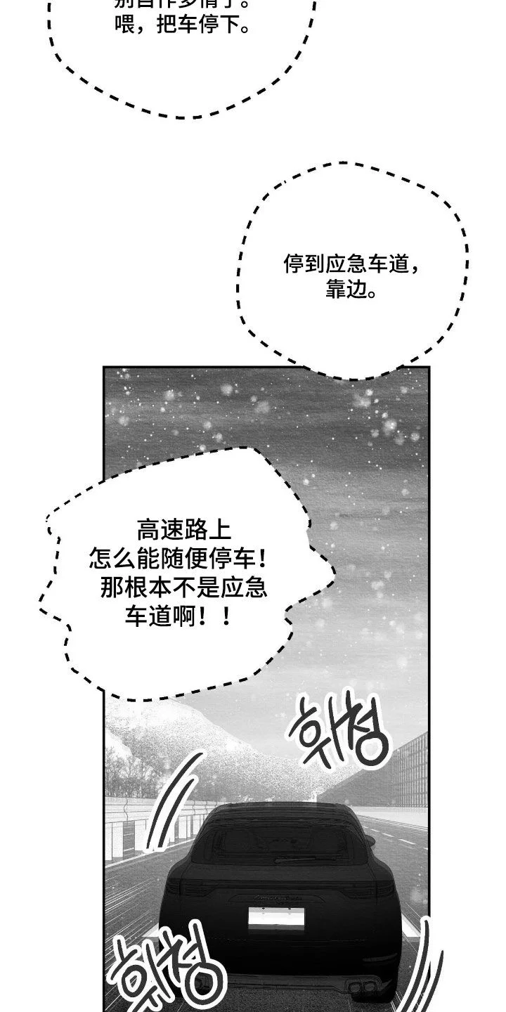 白鳞 第179章：要不要打个赌 第6页