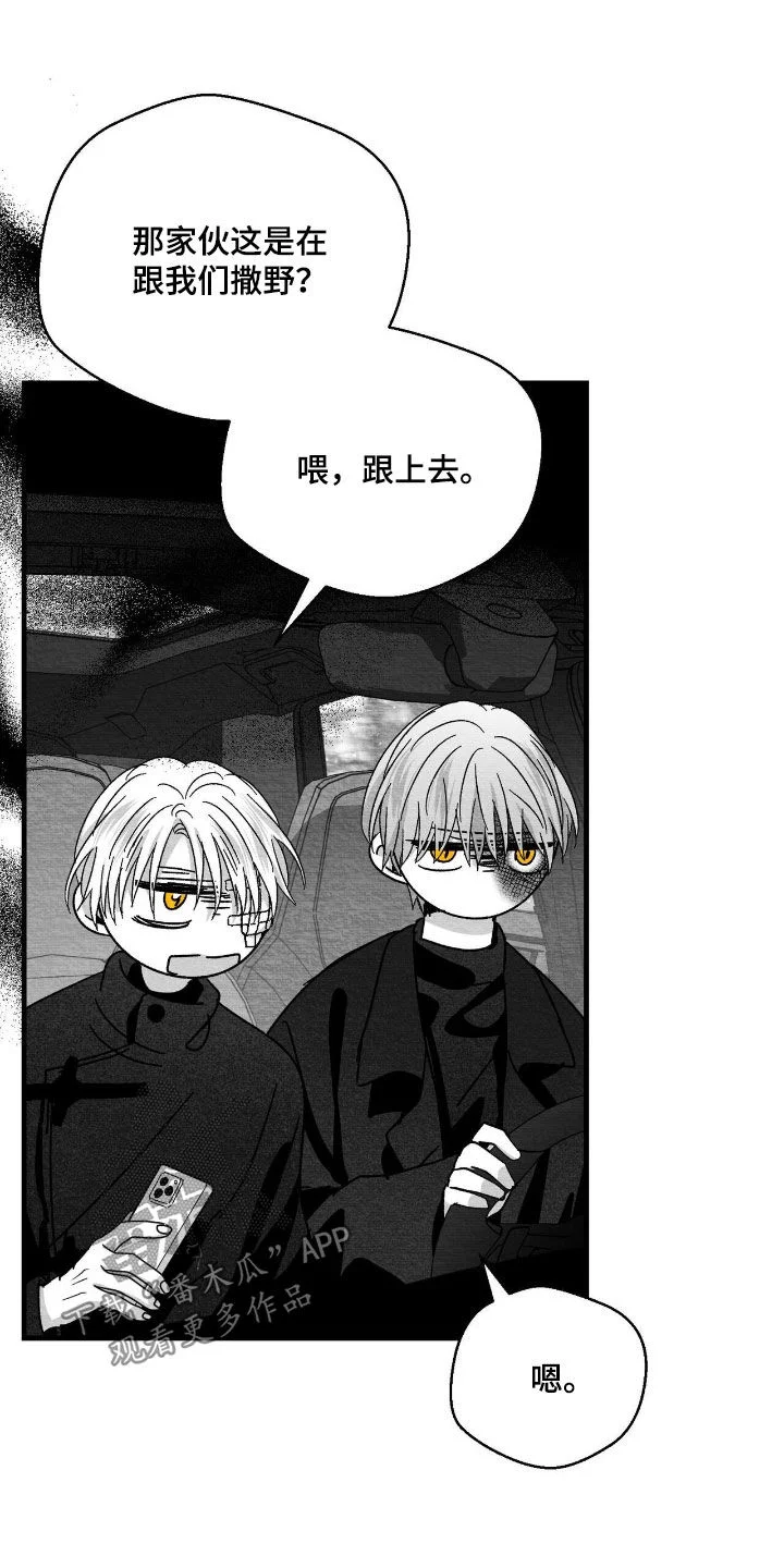 白鳞 第179章：要不要打个赌 第12页