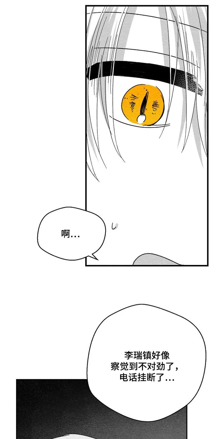 白鳞 第179章：要不要打个赌 第13页