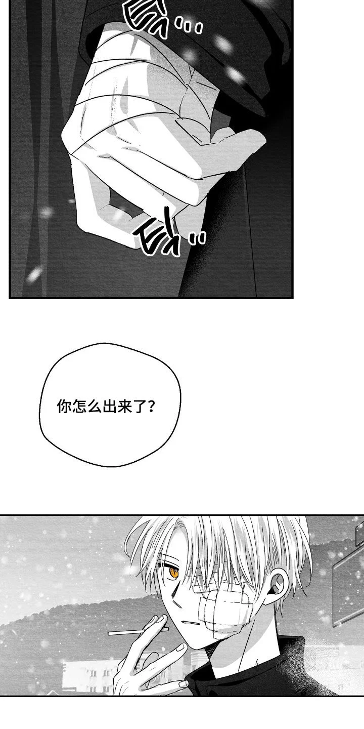 白鳞 第180章：死了的好处 第14页