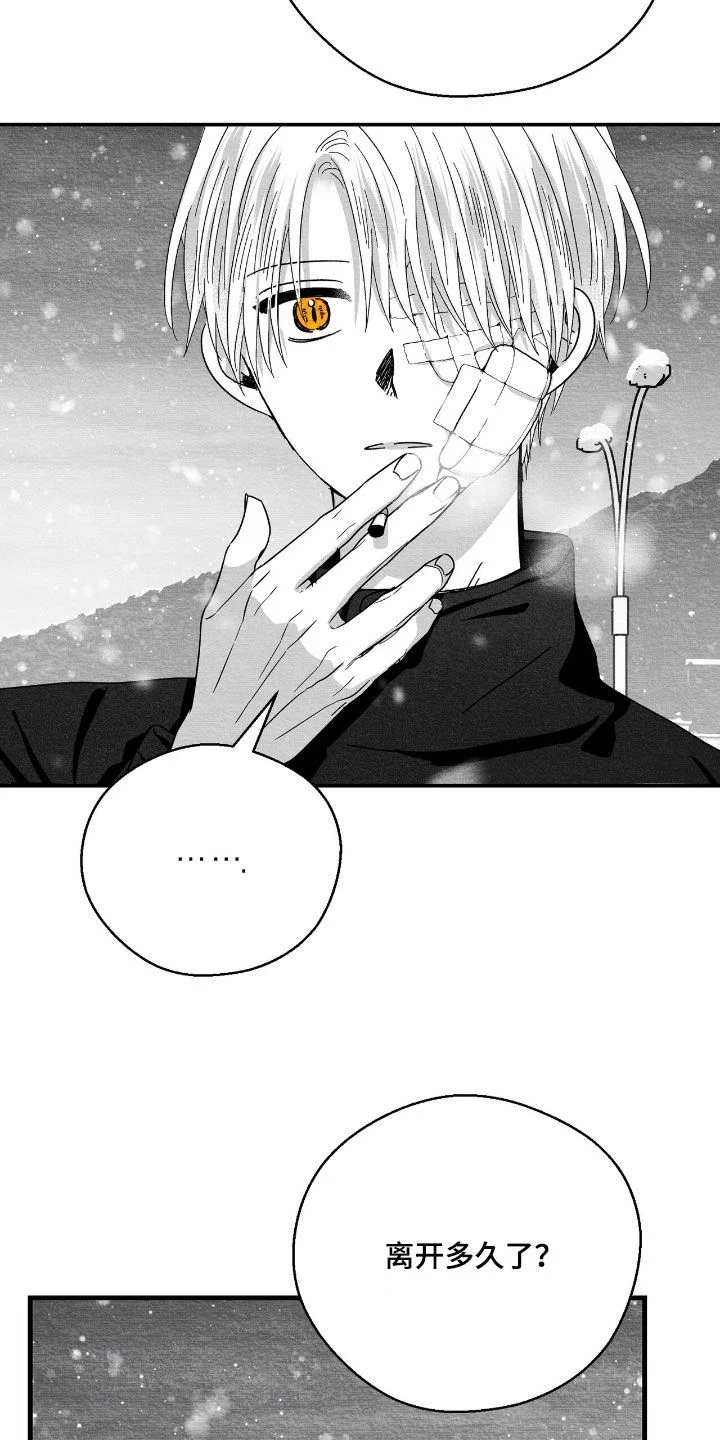 白鳞 第180章：死了的好处 第19页
