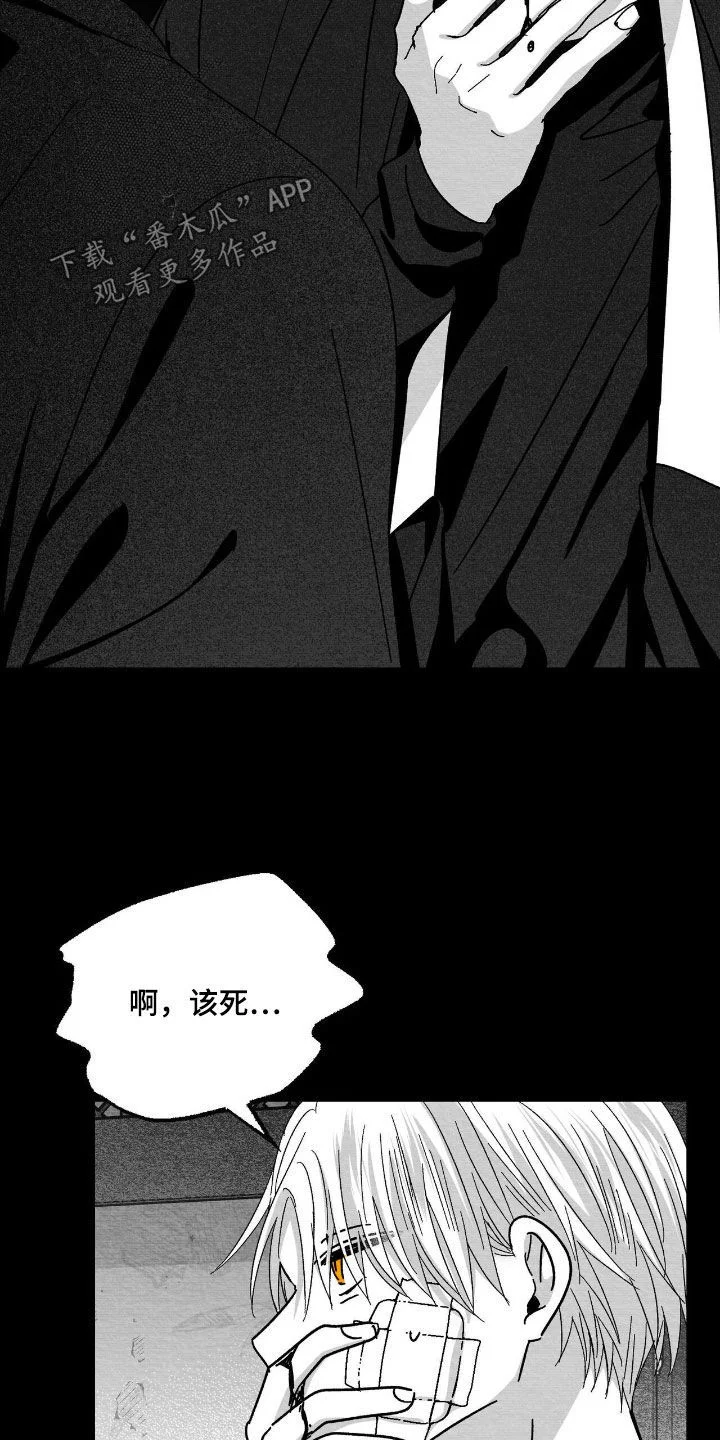 白鳞 第184章：更严重了 第15页