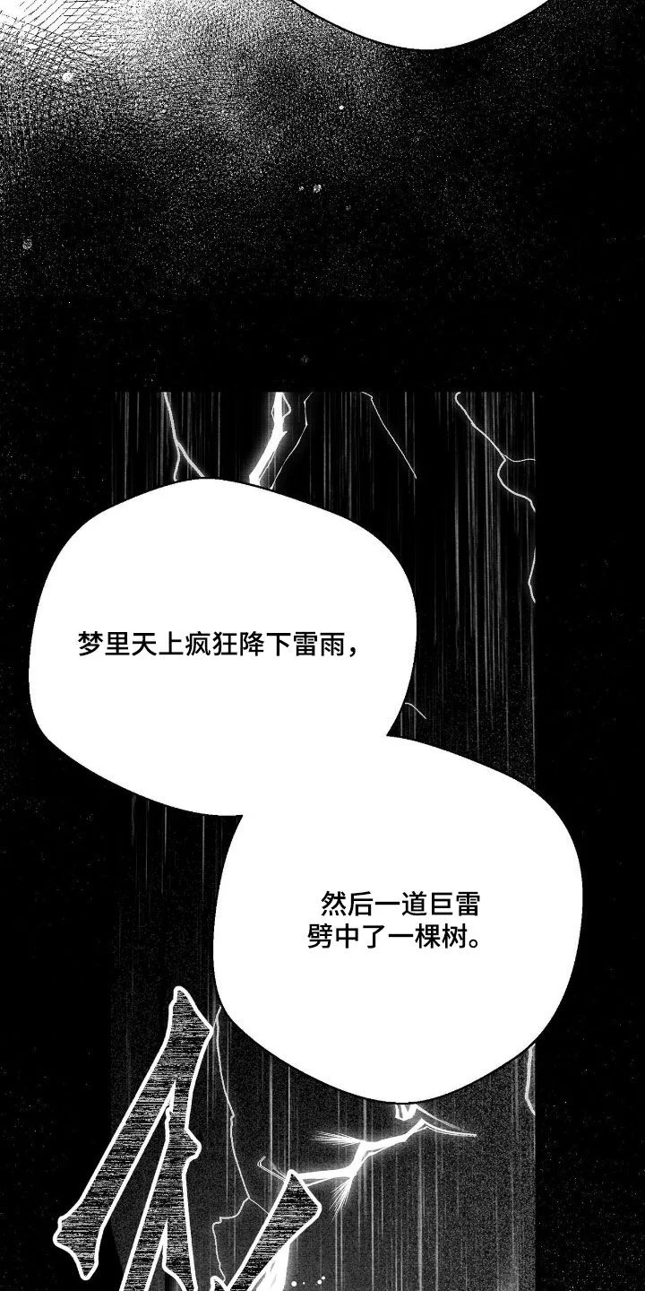 白鳞 第186章：不隐瞒了 第11页