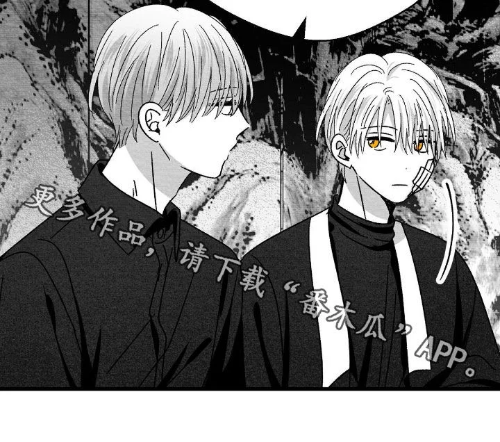 白鳞 第186章：不隐瞒了 第26页