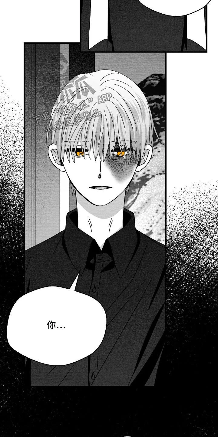 白鳞 第186章：不隐瞒了 第3页