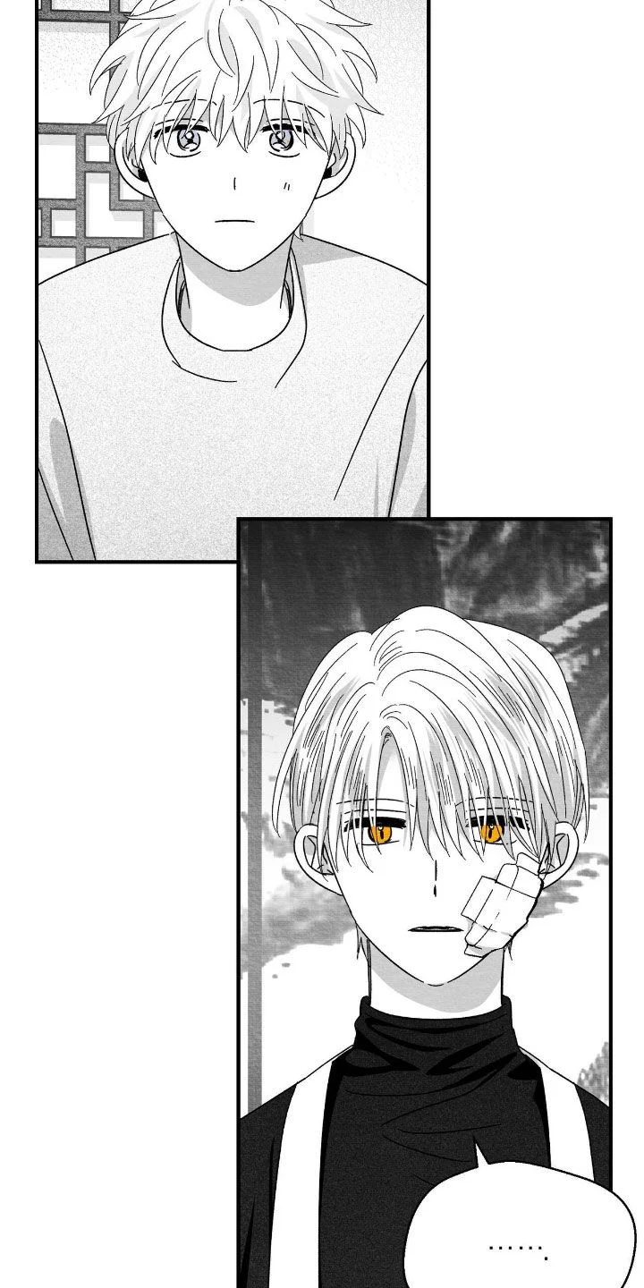 白鳞 第186章：不隐瞒了 第2页
