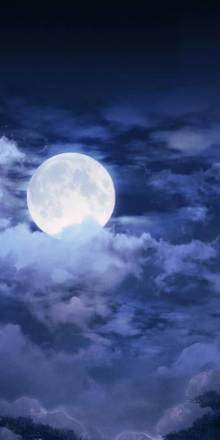 盲夜谜声 第1章：声音的主人 第1页