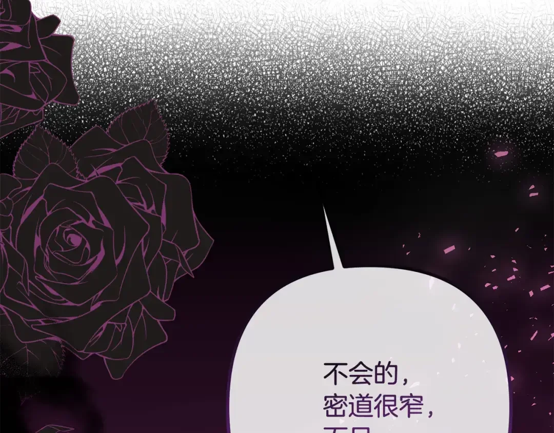离婚吧，老公大人！ 第76话 皇宫密道 第111页