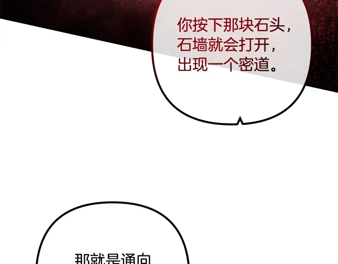 离婚吧，老公大人！ 第76话 皇宫密道 第103页