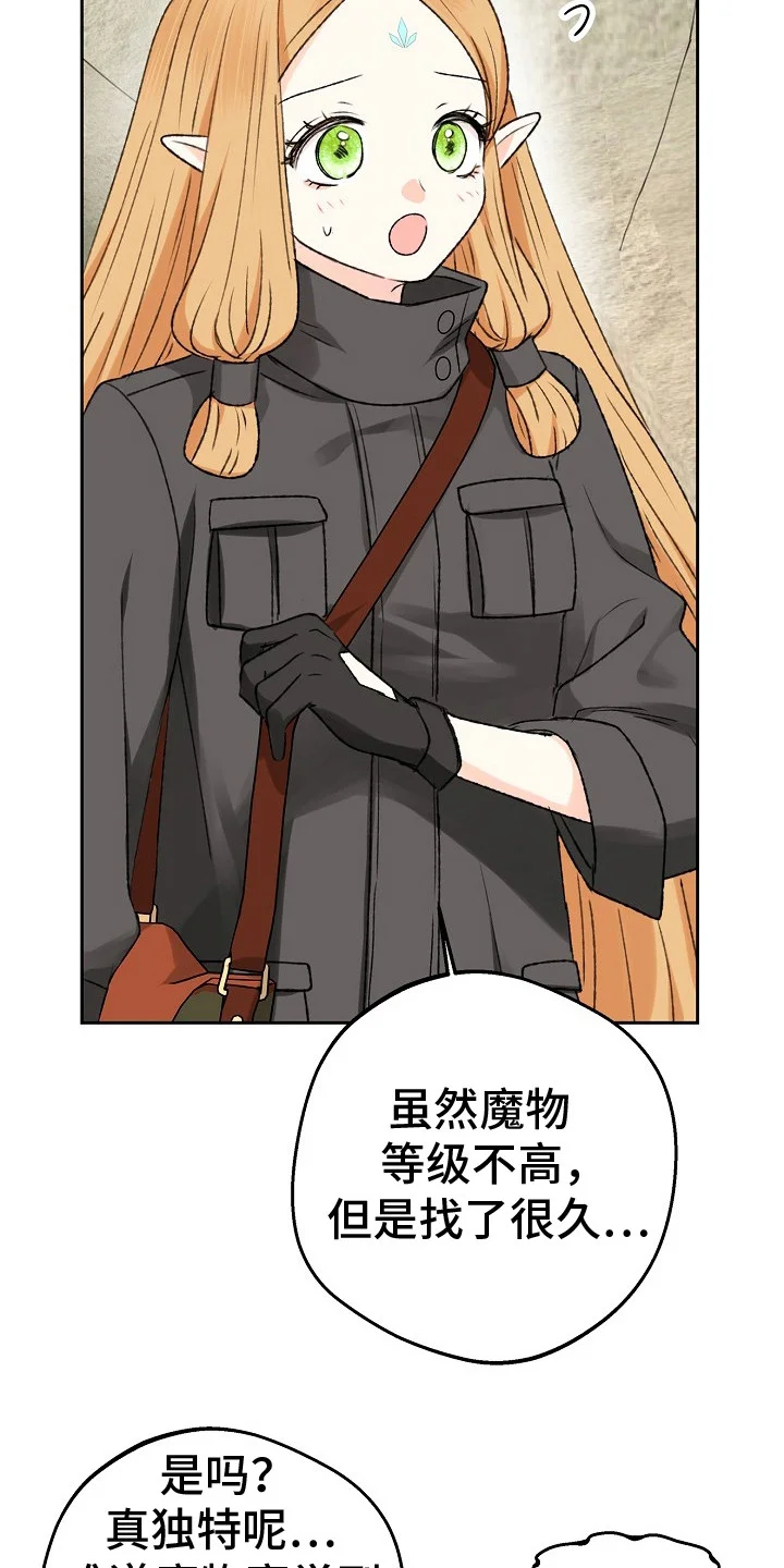 精灵冒险家 第8章：协会长 第10页