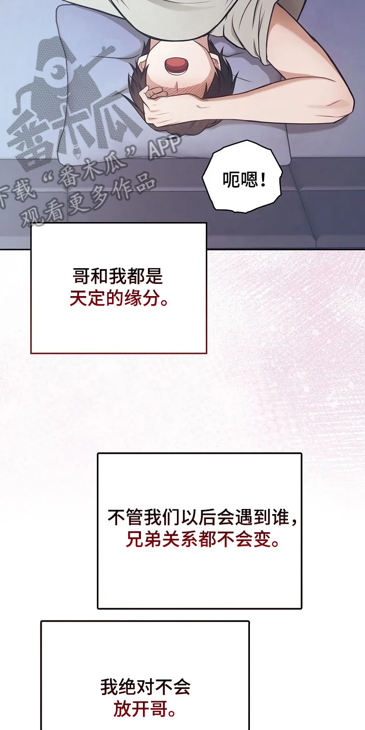 糖霜心痕 第54章：我的哥哥 第15页
