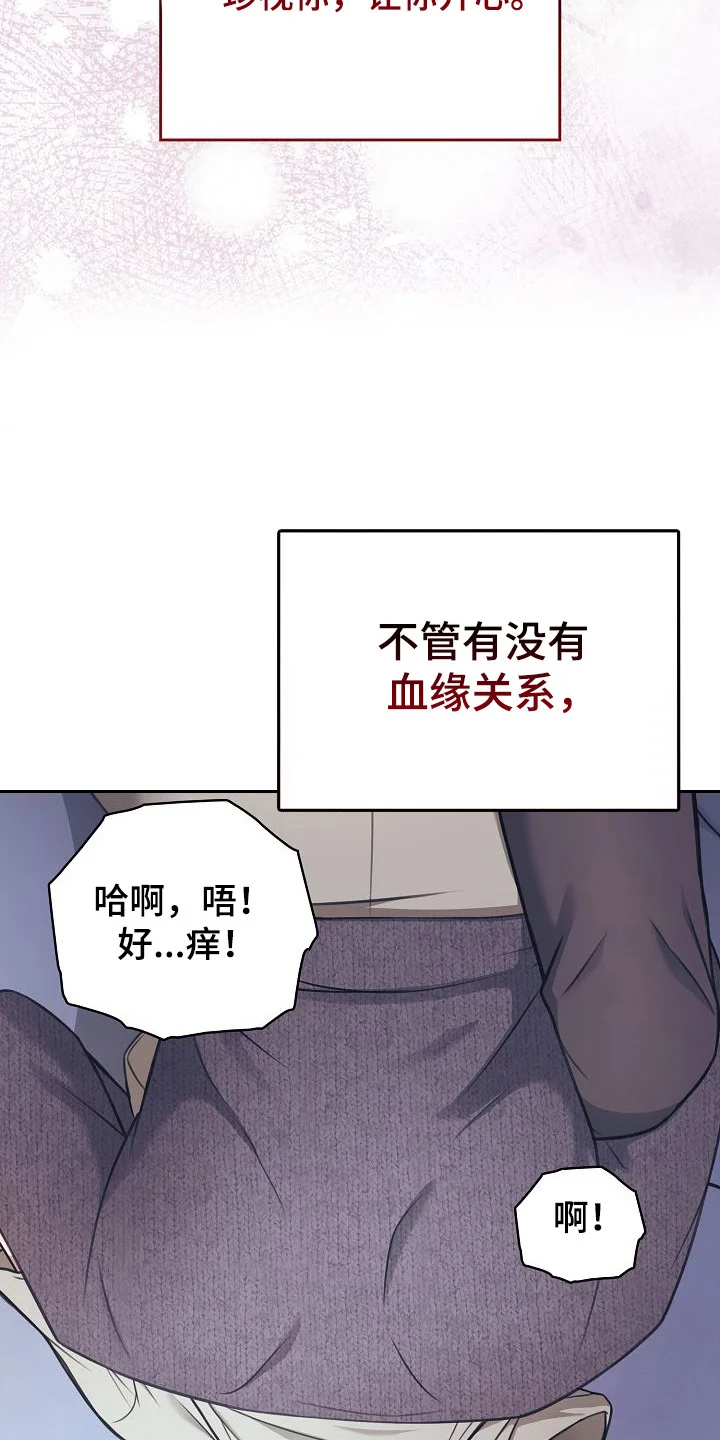 糖霜心痕 第54章：我的哥哥 第14页