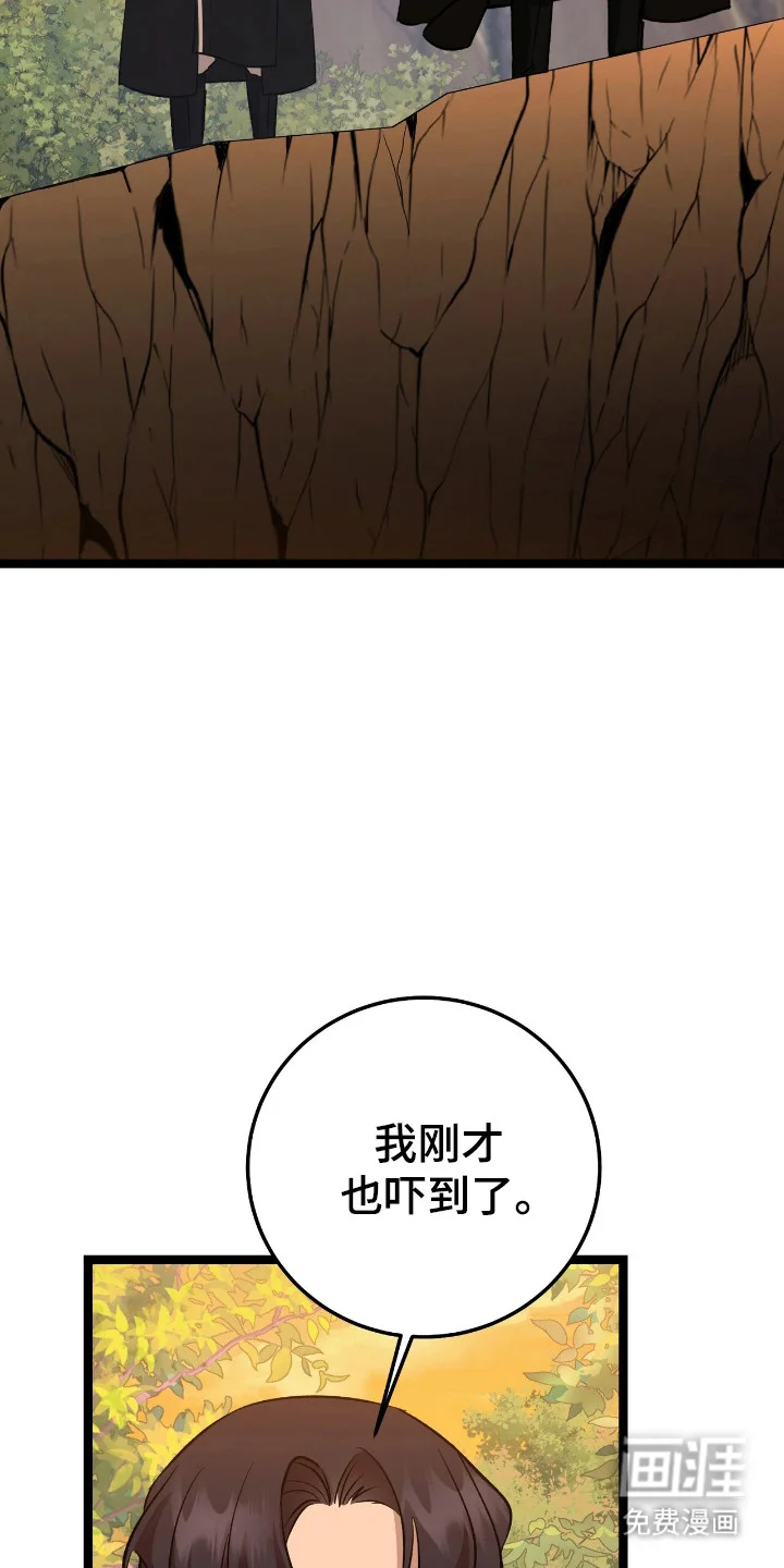 红玉天香 第49章：策划一切 第13页