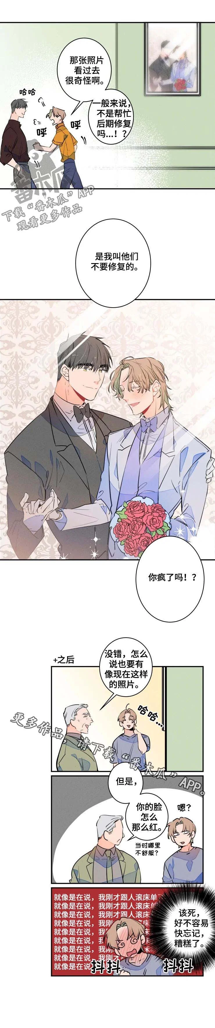 结婚合约 第52章：脸 第6页