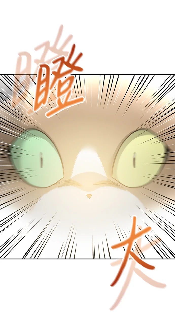 绯红之心 [第46话] 最后一场战斗 第8页