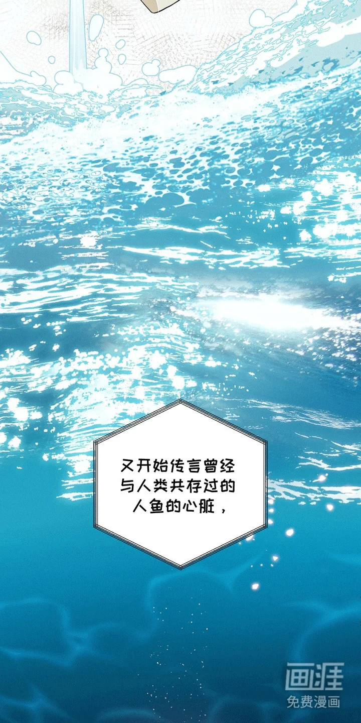 美人鱼的沼泽 第1章：委托 第5页