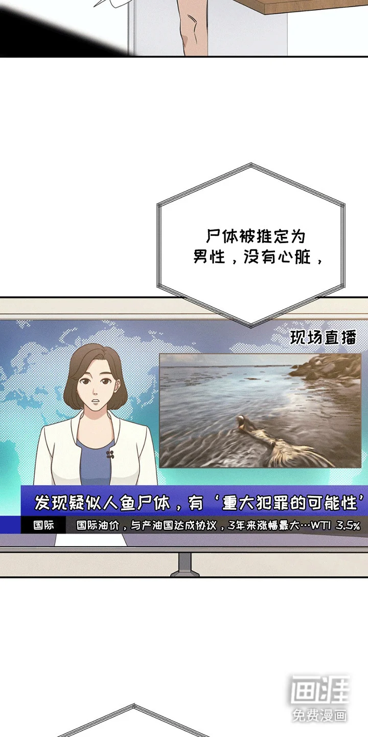 美人鱼的沼泽 第1章：委托 第2页