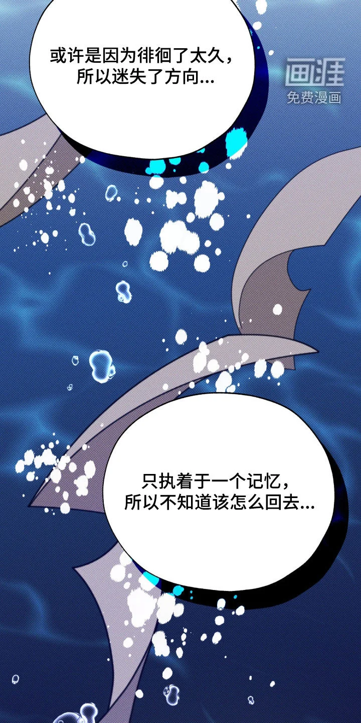 美人鱼的沼泽 第81章：【第二季】我打算抓住你 第34页