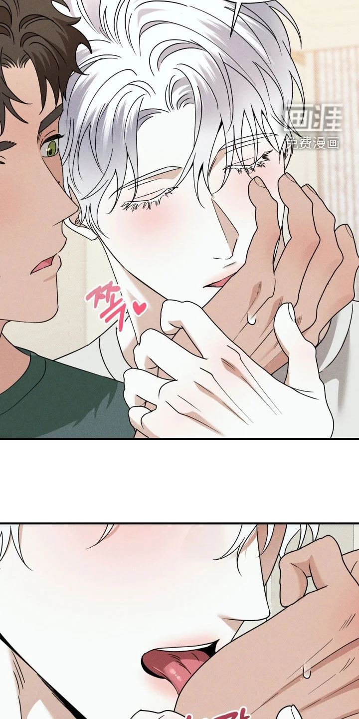 美人鱼的沼泽 第82章：【第二季】没有逞强 第17页
