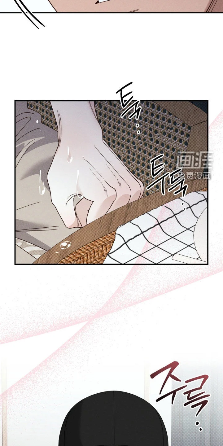 美人鱼的沼泽 第84章：【第二季】酒店 第11页