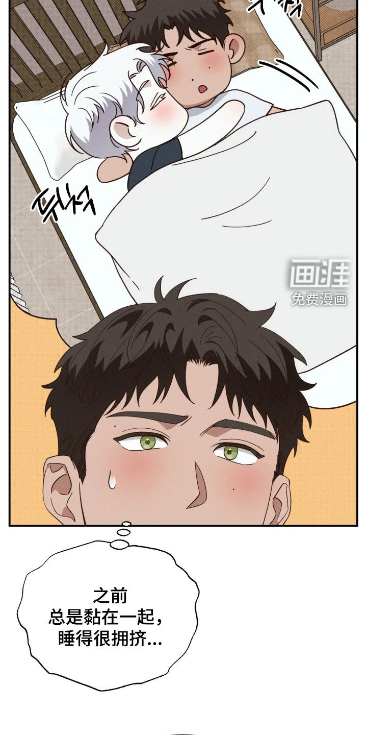 美人鱼的沼泽 第84章：【第二季】酒店 第31页