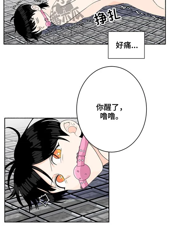脆脆的恶魔 第52章：晕倒 第11页