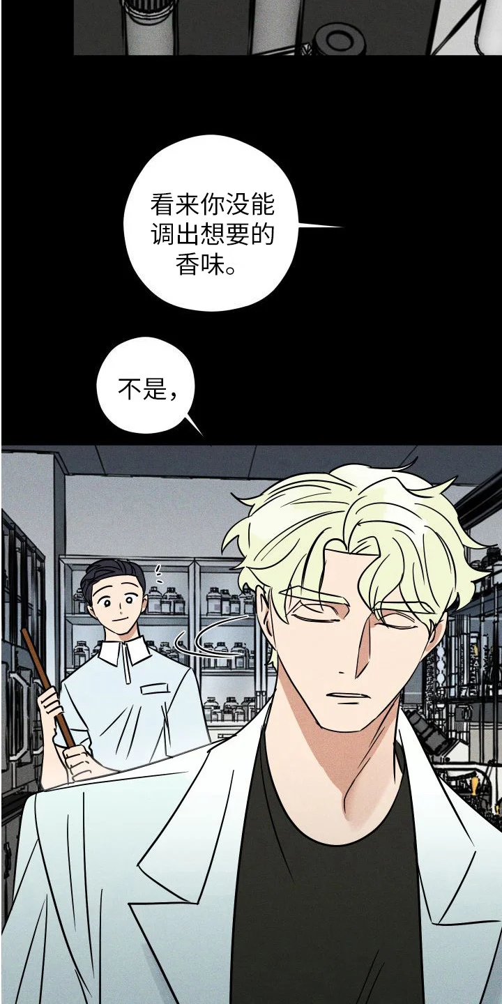 荷尔蒙香水 第14章：故事 第19页