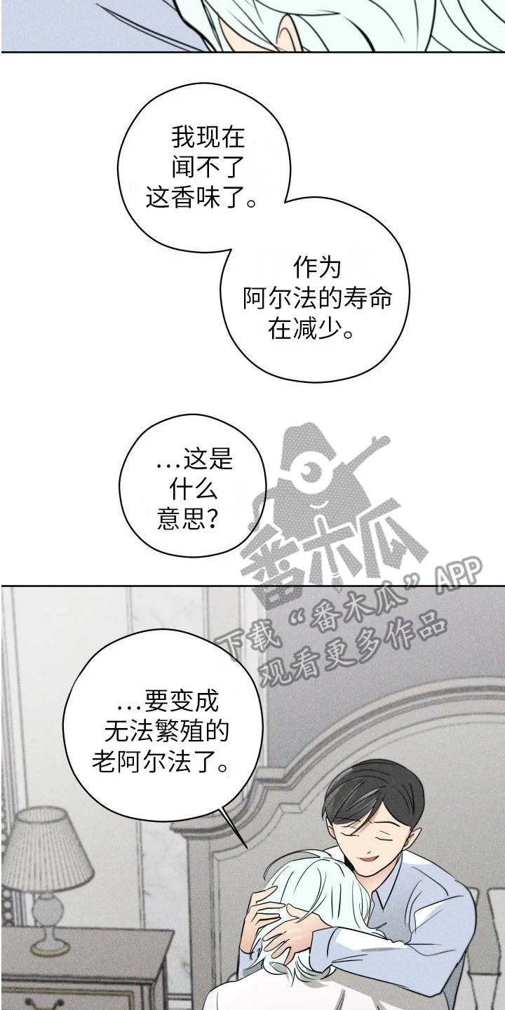 荷尔蒙香水 第9章：沉重的心意 第2页