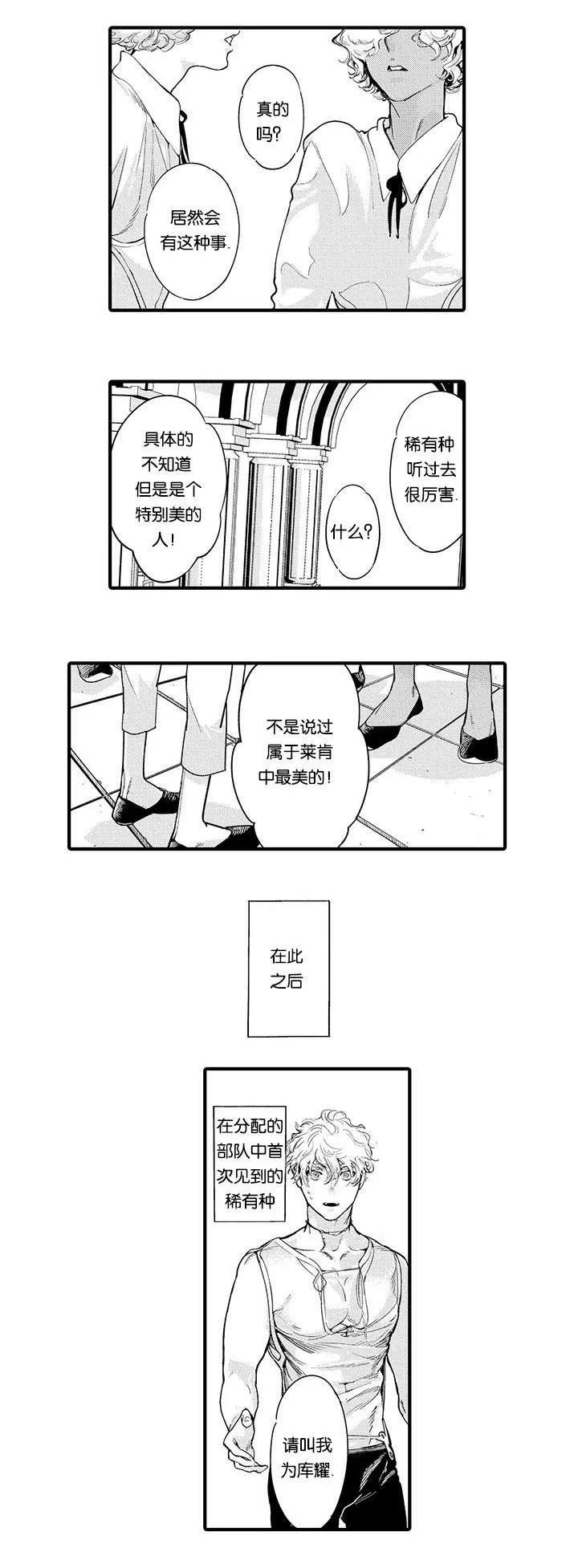 莱肯 第15章：保护 第7页