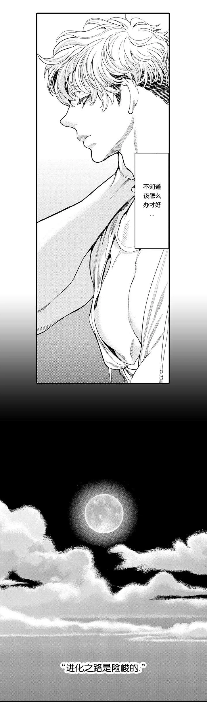 莱肯 第15章：保护 第6页