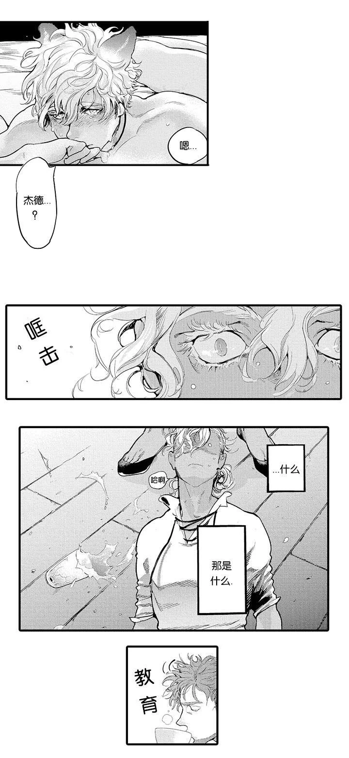 莱肯 第16章：结伴而行 第6页