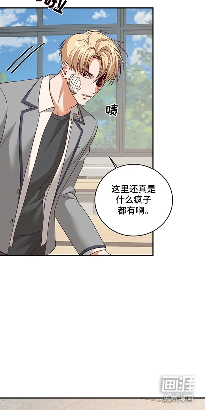 蒲公英观察日 第1章：转学生 第13页