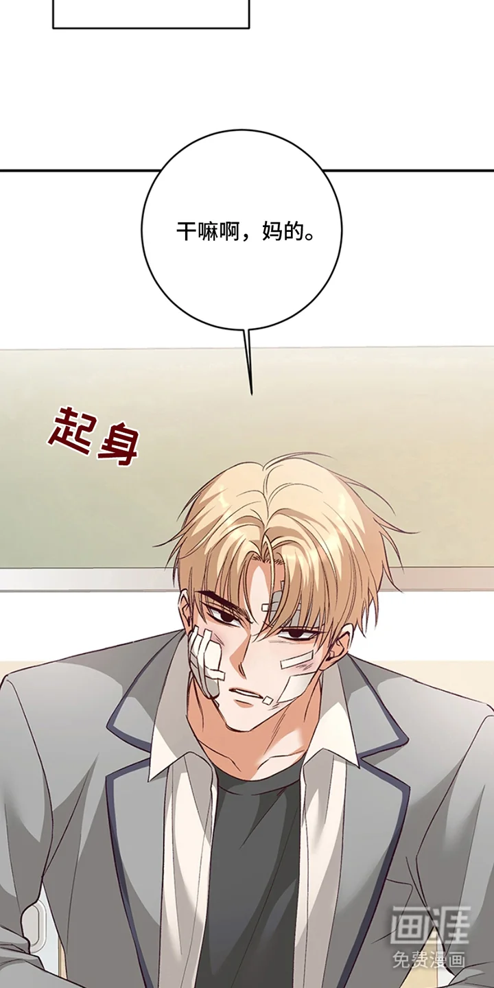 蒲公英观察日 第1章：转学生 第9页