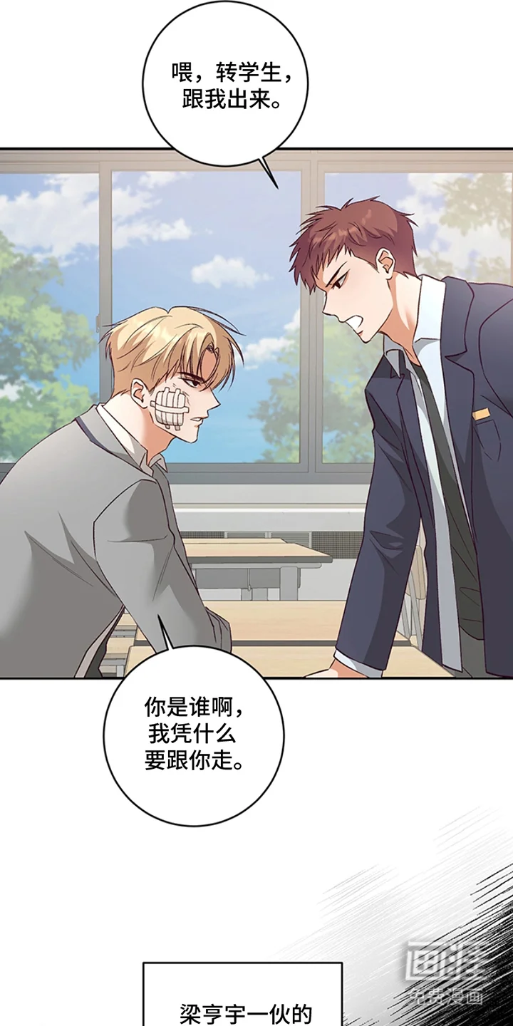 蒲公英观察日 第1章：转学生 第11页