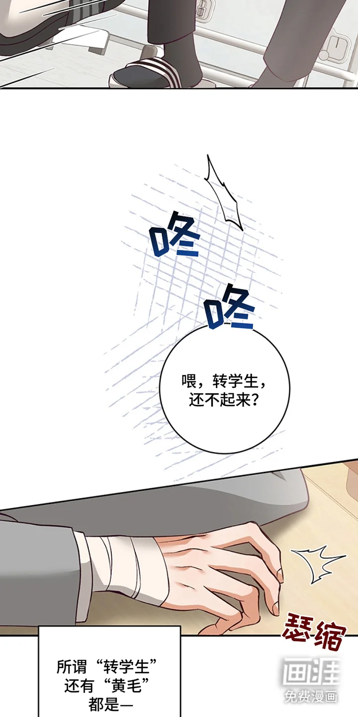 蒲公英观察日 第1章：转学生 第8页