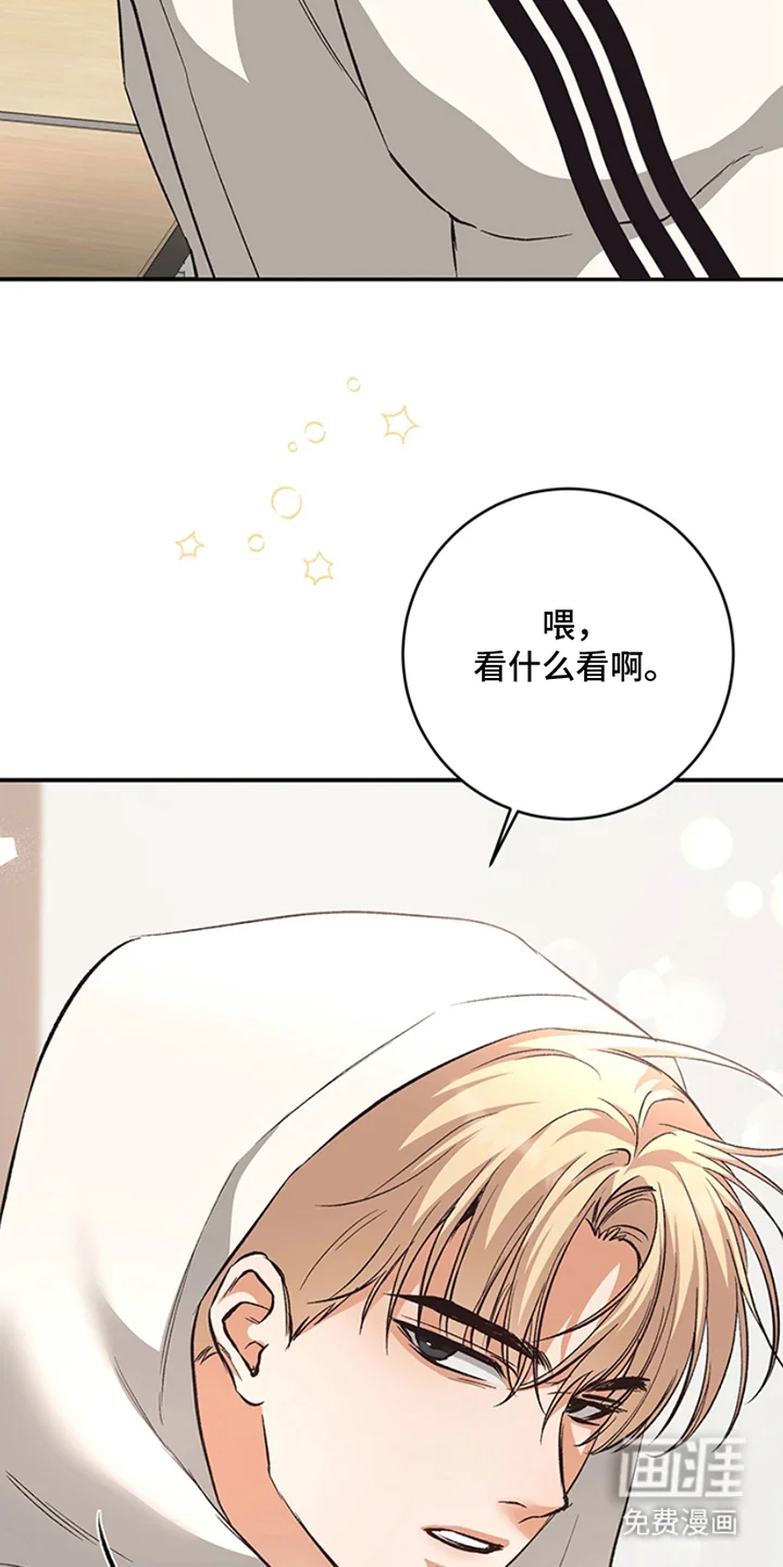 蒲公英观察日 第3章：真好看 第14页