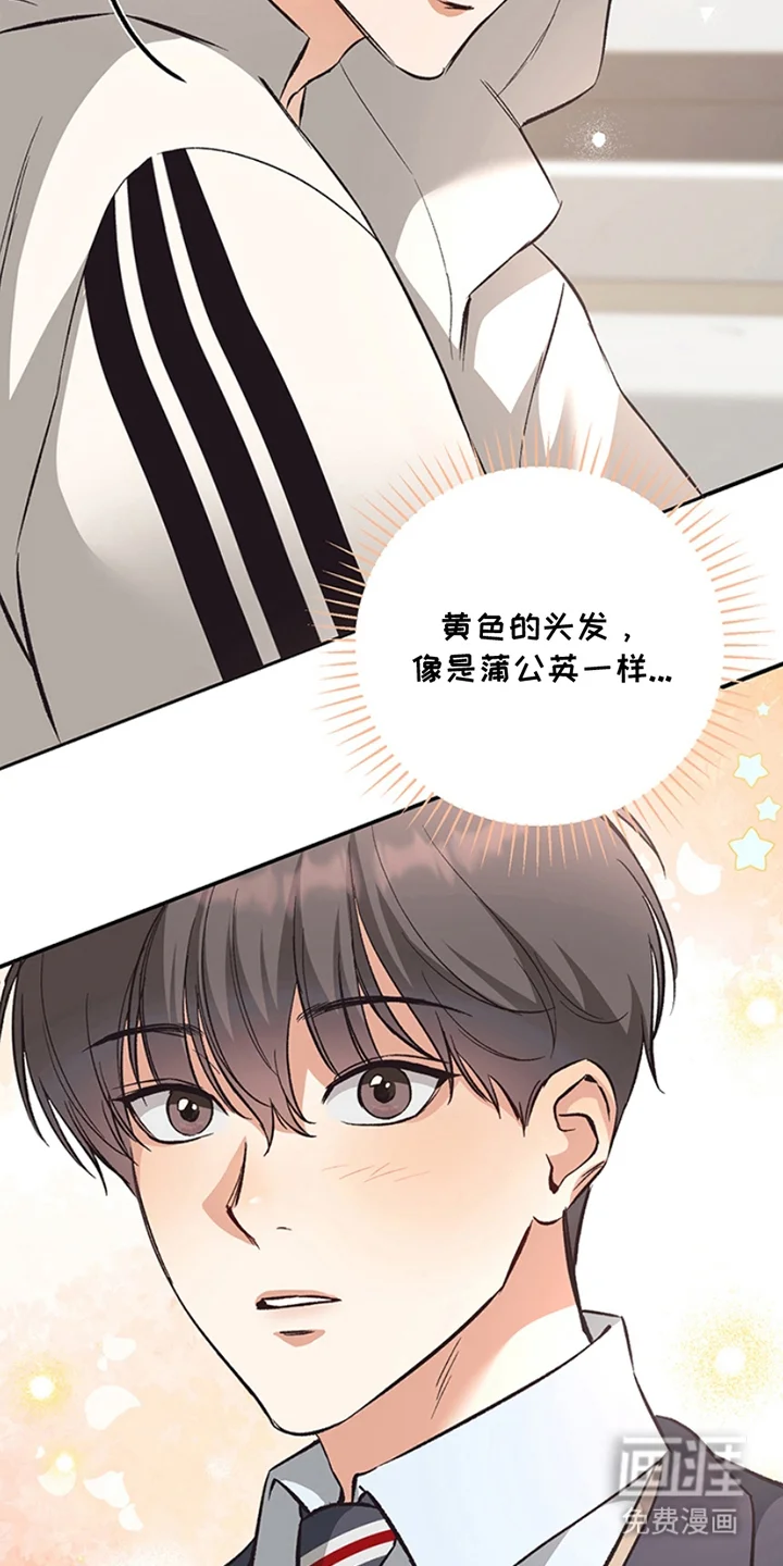 蒲公英观察日 第3章：真好看 第15页